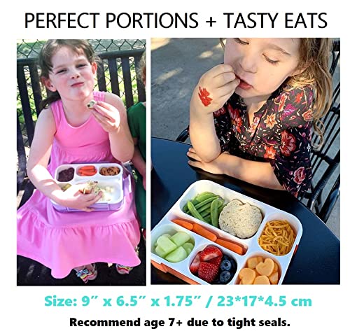 6 Compartment Lunch Boxes. Bento Box Lunchbox Snack Containers For Kids, Boys Girls Adults. School Daycare Meal Planning Portion