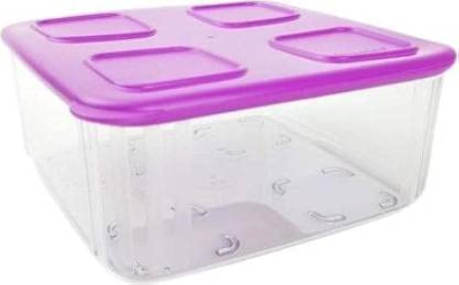 Tupperware Clear Mates Snack Plastic Utility Container 1.62L Set Of 1 (Multicolor)