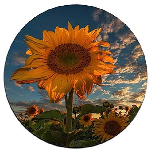 Sunflower Round Coaster Set - Made Of Recycled Rubber - Set Of 4