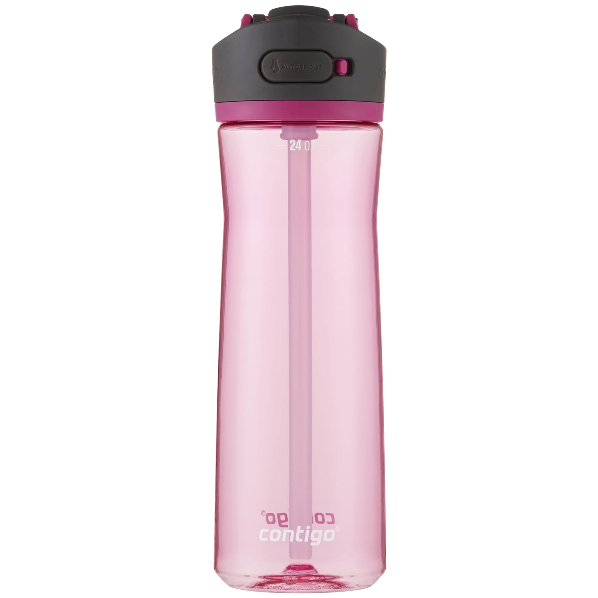 Contigo Ashland 2.0 24OZ Dragon Fruit