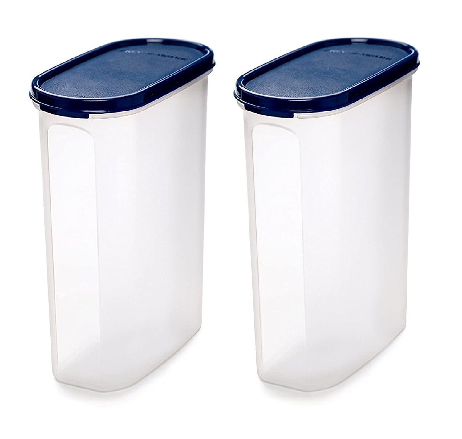 Signoraware Modular Oval No. 4 Plastic Container Set, 2.3 litres, Set of 2, Mod Blue