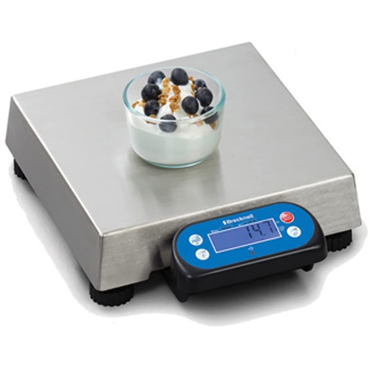Brecknell 6710U POS Bench Scale, 30lb. 10x10 Platter, Capacity Magnetic Mount Display, USB & RS-232 Port,Silver