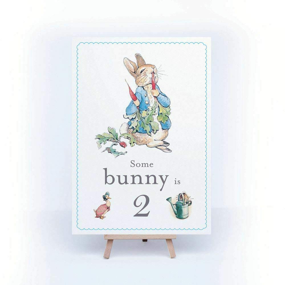 Peter Rabbit 'Some Bunny is 2' Card and Easel 2nd Birthday Decoration Sign