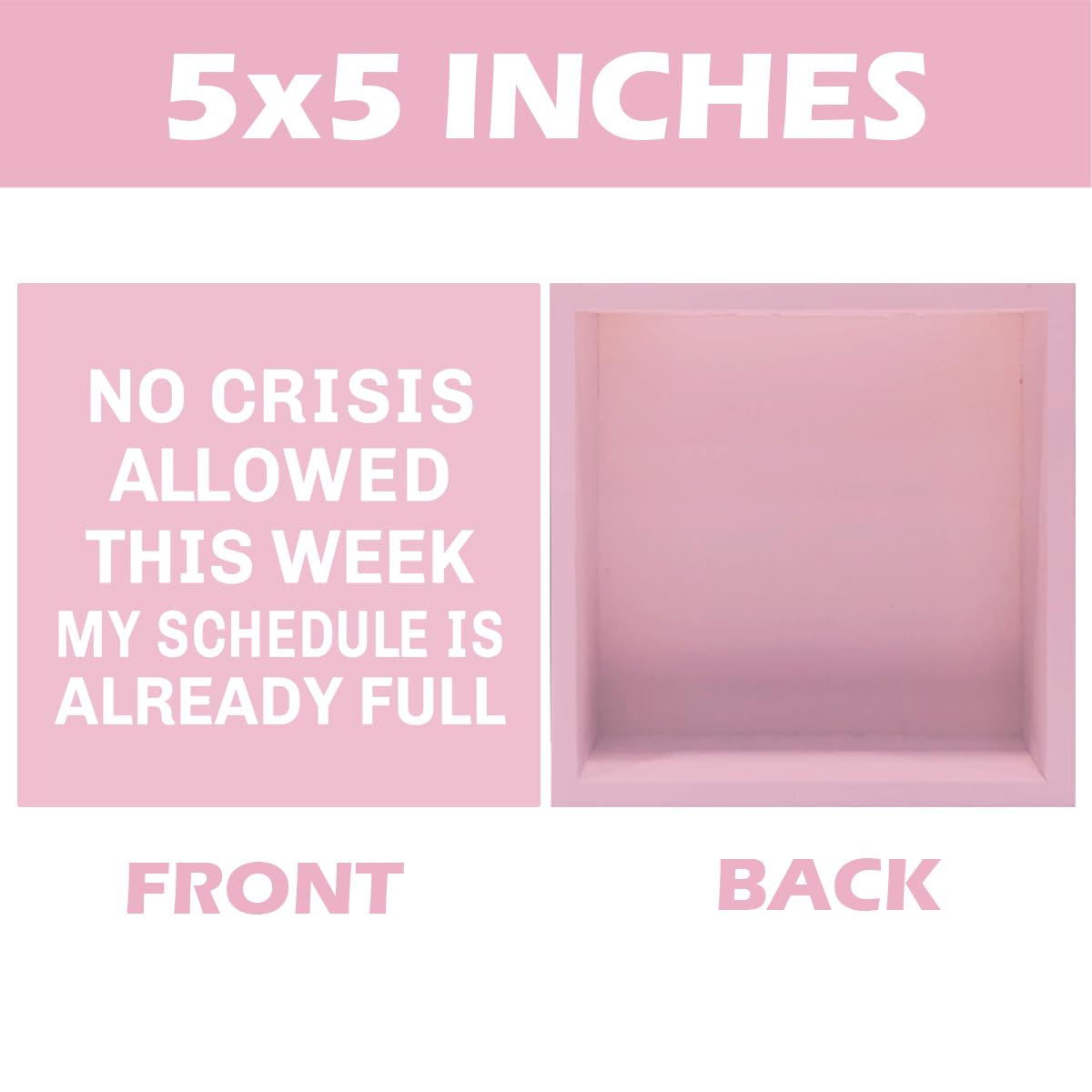 Pink Boss Gifts for Women Men Boss Lady Manager Coworker Funny Home Office Desk Decor No Crisis Allowed This Week Sign 5 X 5 Inc