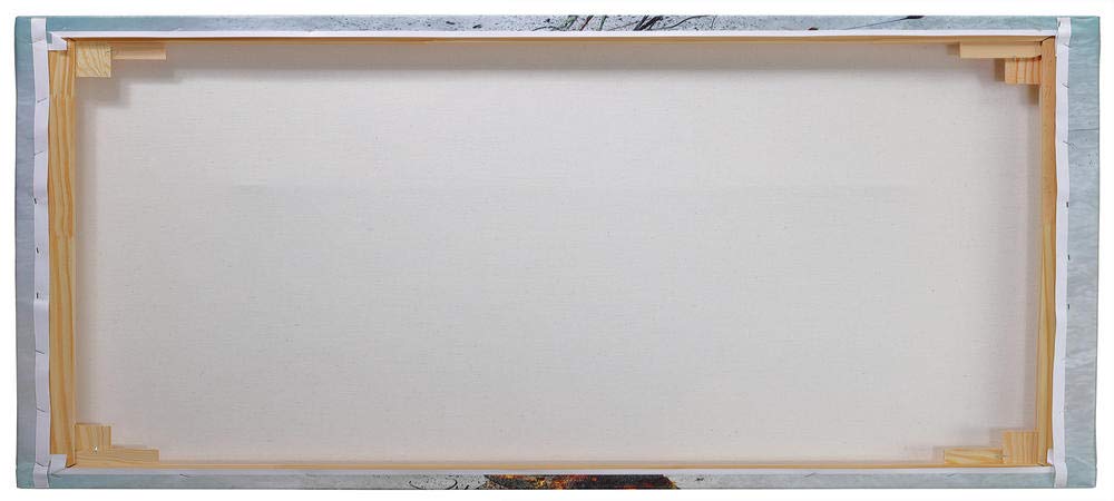 Cortesi Home 'The Noble Lie' By Mario Sanchez Nevado, Canvas Wall Art, 20'' X 40''