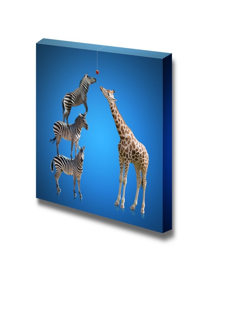 Three Zebras Standing Together To Be Taller Than A Giraffe Teamwork Unity Concept Image Art - Canvas Art Wall Art - 12'' X 12''