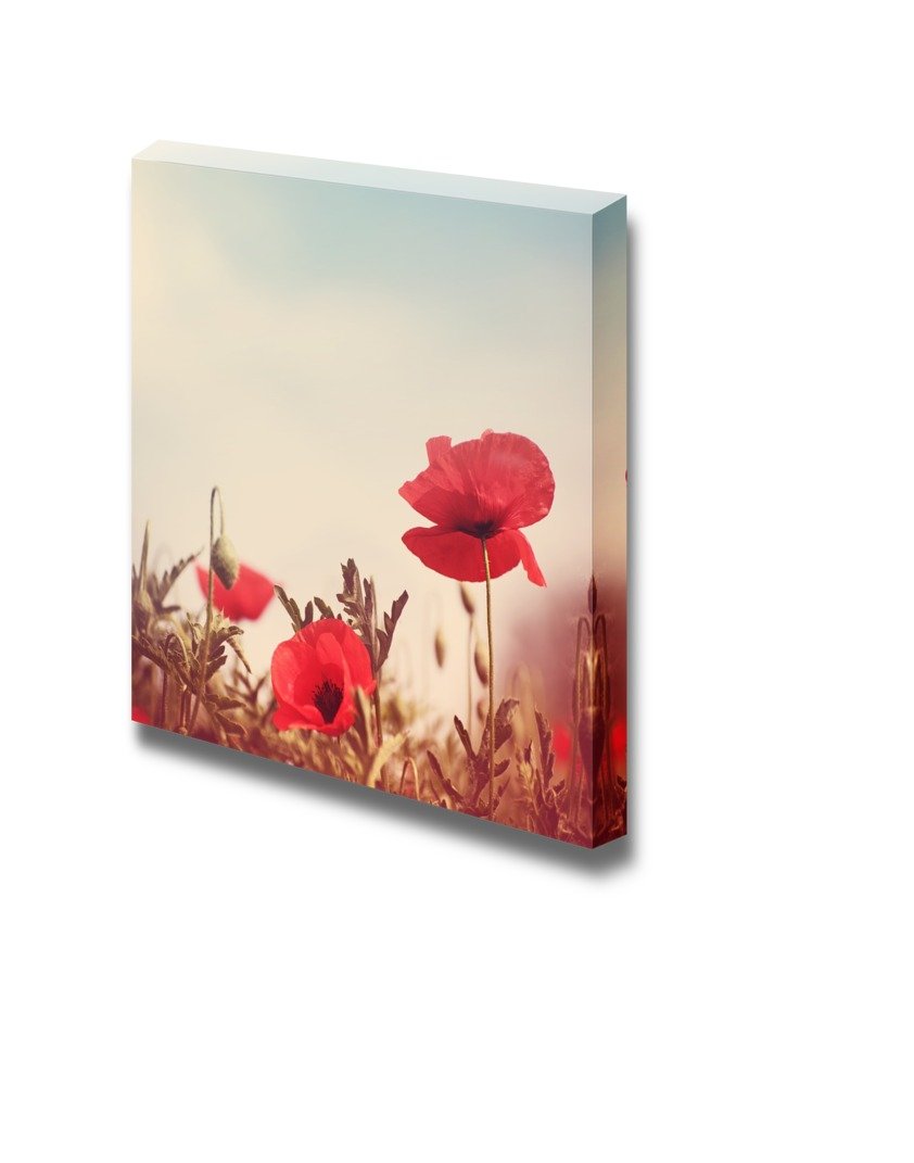 Canvas Prints Wall Art - Vintage Style Poppy Flowers | Modern Wall Decor/Home Art Stretched Gallery Canvas Wraps Giclee Print &
