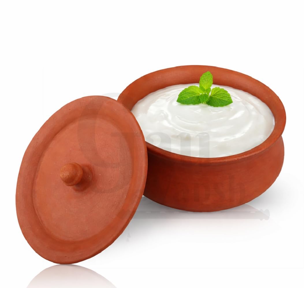 GAU VANSH Handmade 550 ml Approx. Clay Yogurt Pot with Lid, Terracotta Bowl