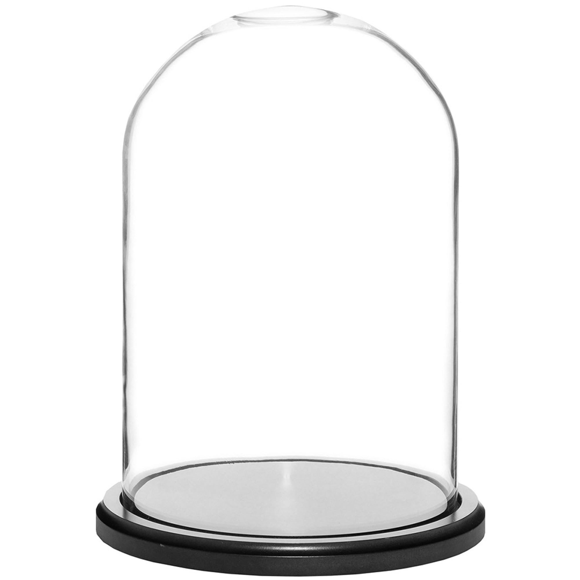 Plymor 8 x 12 Glass Display Dome Cloche (Black MDF Wood Base)