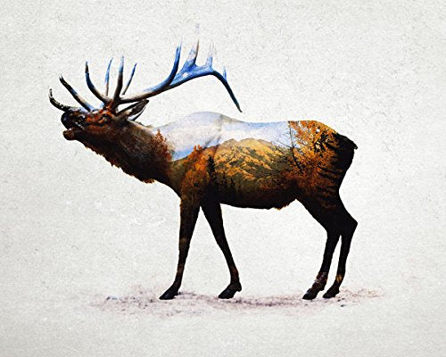 Rustic Double Exposure Elk, Bison, Wolf And Bear Landscape Set; Cabin Lodge Decor; Four 20X16In Fine Art Paper Prints