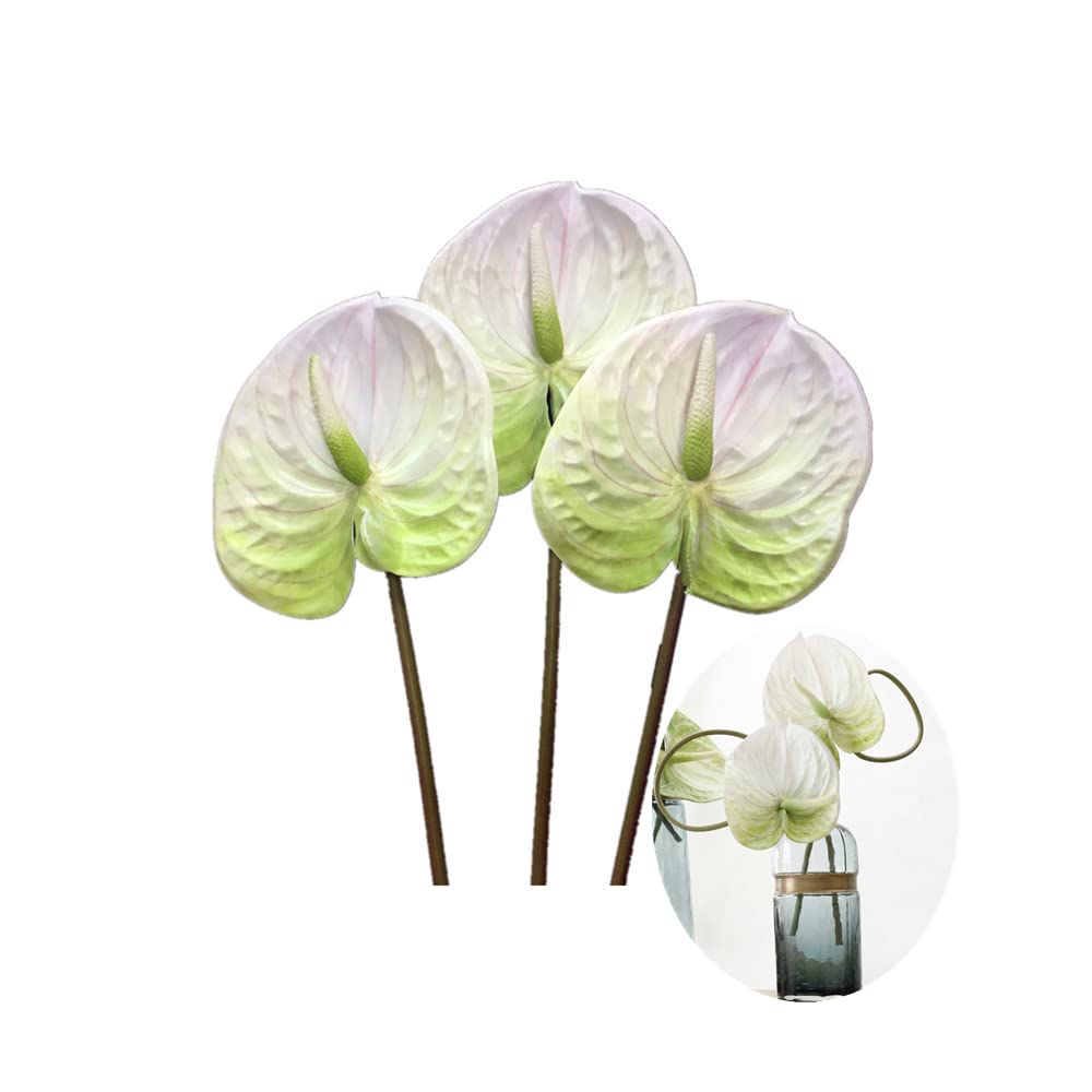 DODXIAOBEUL 3 PCS 27 Artificial Anthurium Lily Flowers for Home Decor Bouquet and Green Leaf and Bridal Wedding Festival Decorat