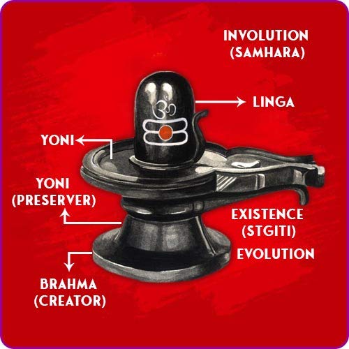 Gangtarang Shaligram Shivling | From Nepal Gandaki River | Carved On Shaligram Stone, Black (100G)
