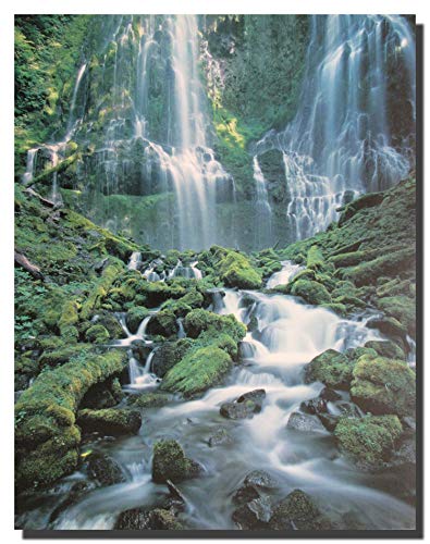 Waterfall Landsscape Forest Scenery Wall Decor Art Print Poster (16X20)