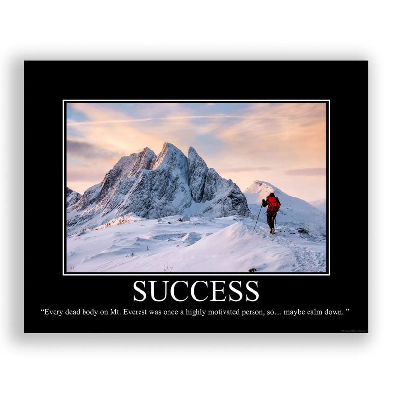 Success Demotivational Poster Snarky Ironic Funny Sarcastic Office Wall Decor Art Print 11X14 Inches Unframed