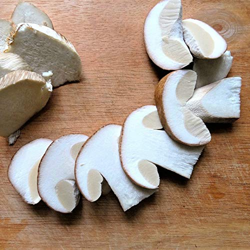 Kitchen Craft Mushroom Cleaning Brush With Rubber Wood Handle And Soft Bristles