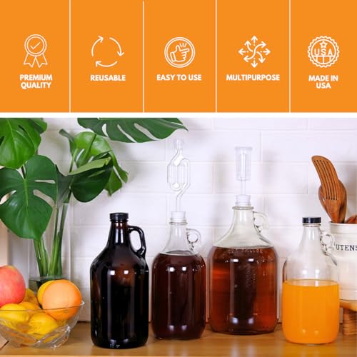 Fastrack Mn-Tf9E-S1Ra Glass Water Bottle Includes 38 Mm Metal Screw Cap, 1 Gallon Capacity, Clear