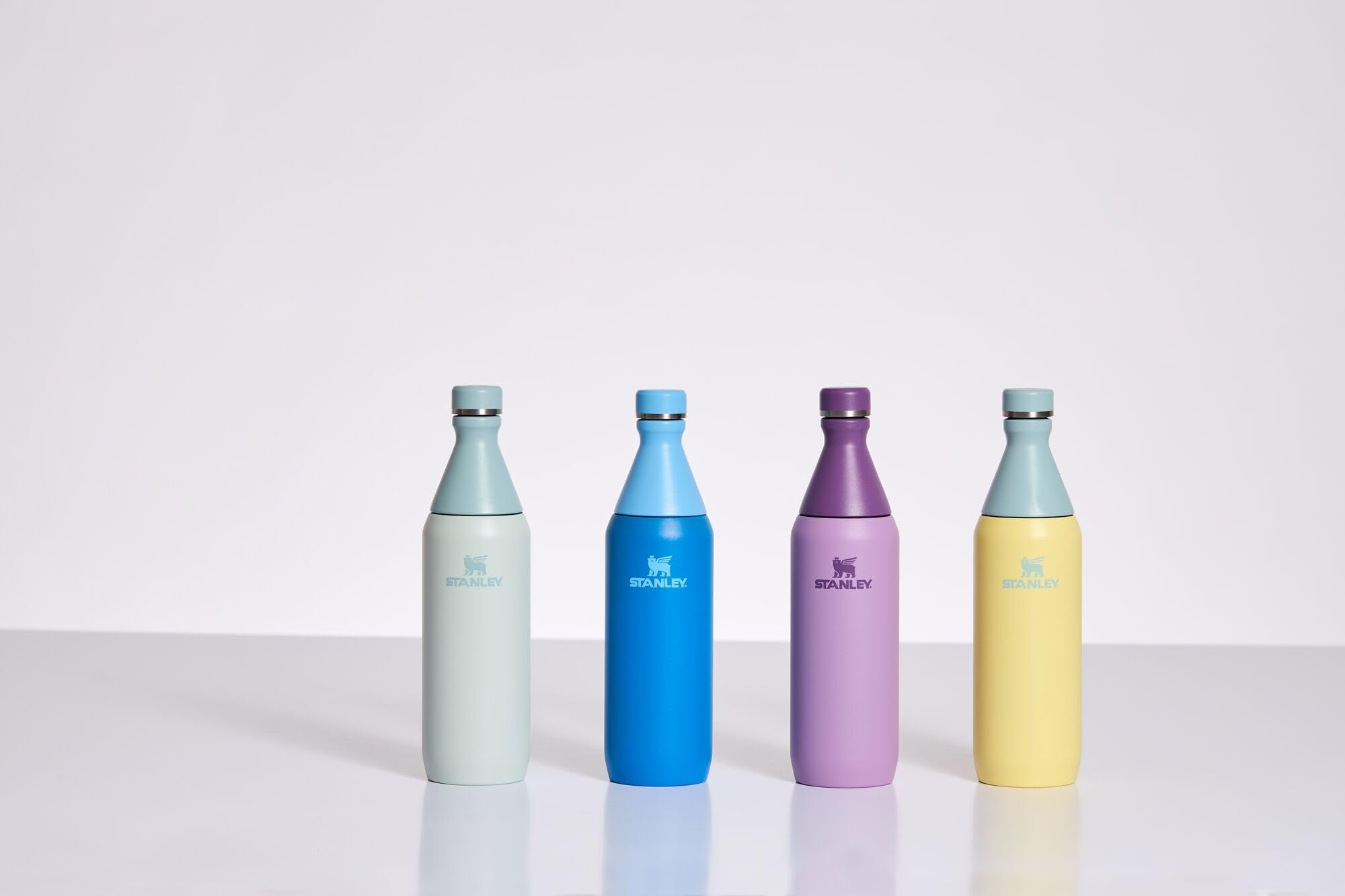 Stanley All Day Slim Bottle 20 Oz | Twist Off Lid With Leakproof Seal | Slim Design For Travel & Gym | Insulated Stainless Steel