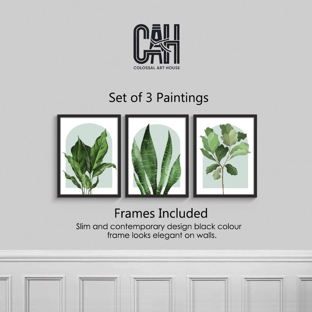 COLOSSAL ART HOUSE Set of 3 Tropicals Wall Paintings for Living Room Wall Decoration (10x13 Inch Wall Frame)