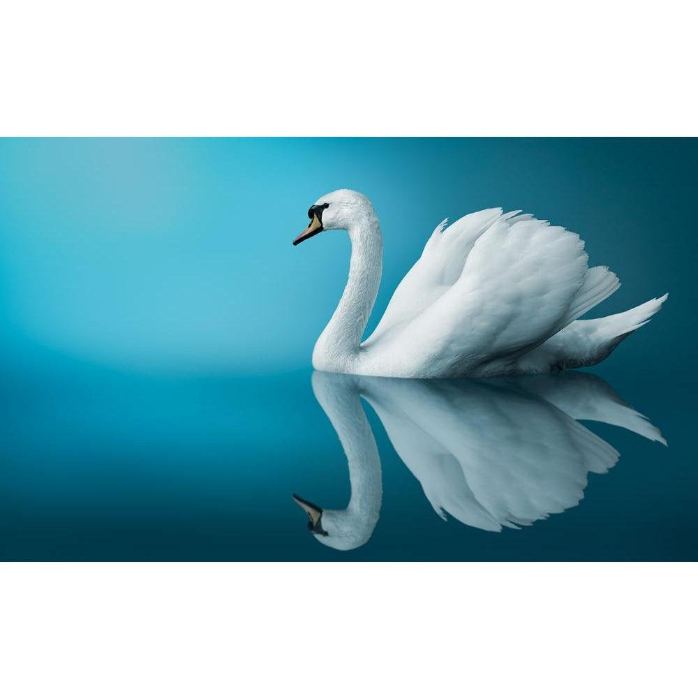 Pitaara Box Fantastic Swan | Peel & Stick Vinyl Wall Sticker for Bedroom & Living Room | 39.4 x 24 inch (100 x 61 cms)