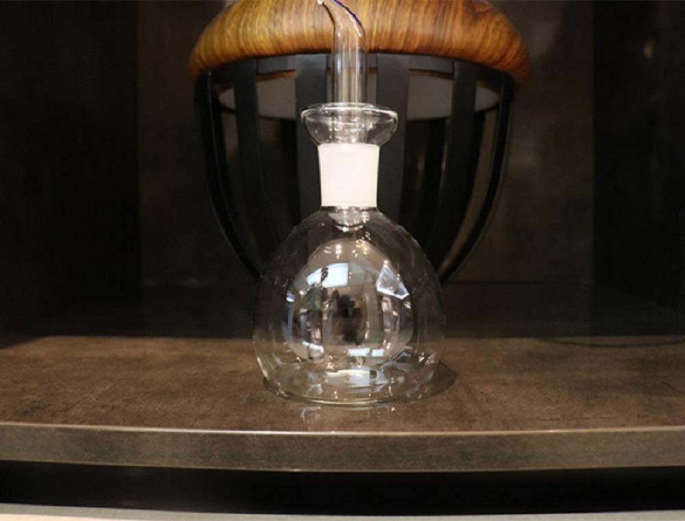 Haizeen 18 Oz / 540 Ml Glass All-Purpose Cruet, Glass Oil Decanter And Cruet (Spherical-18 Oz, Smooth Surface)