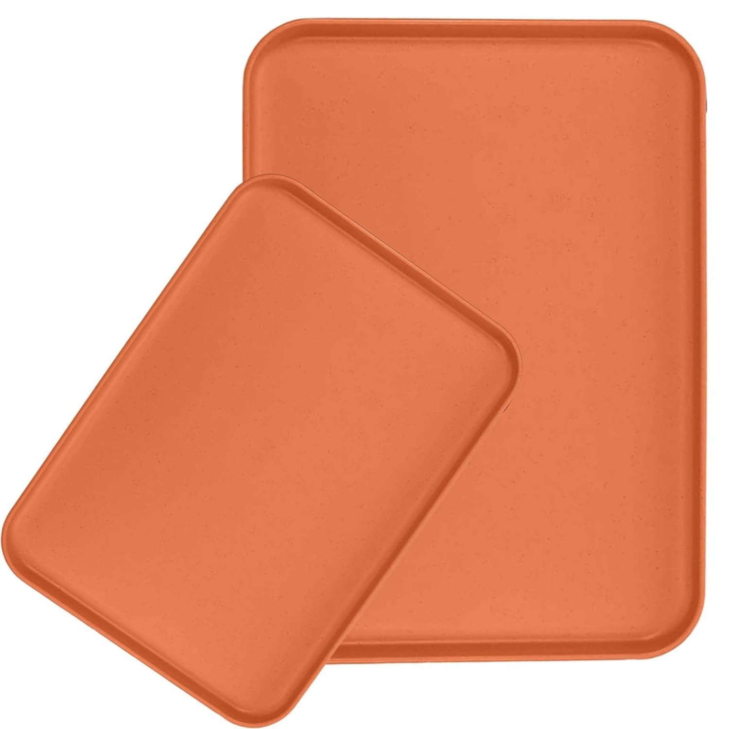 Fs Cool BpaFree Unbreakable Lightweight Dinner Dishes For Restaurant, Microwave, DishwasherSafe Tray Perfect For Kitchen, Hote
