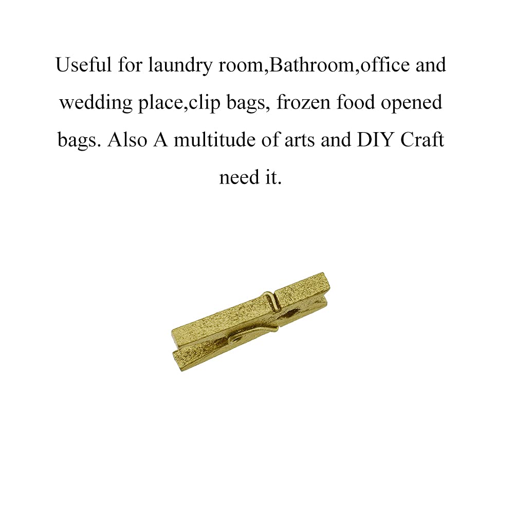 Hahiyo Gold Wooden Clothes Pins Clothespins Mini Do Not Fall Apart 1 Inches Length 80 Pack Sturdy Strong Springs No Rust No Disc