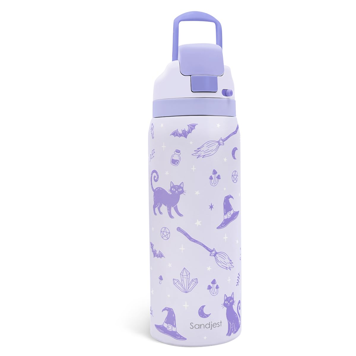 Halloween Witch Insulated Stainless Steel Water Bottle with Straw for Sports and Travel 32 Ounces for Women Girls Friends Teens 