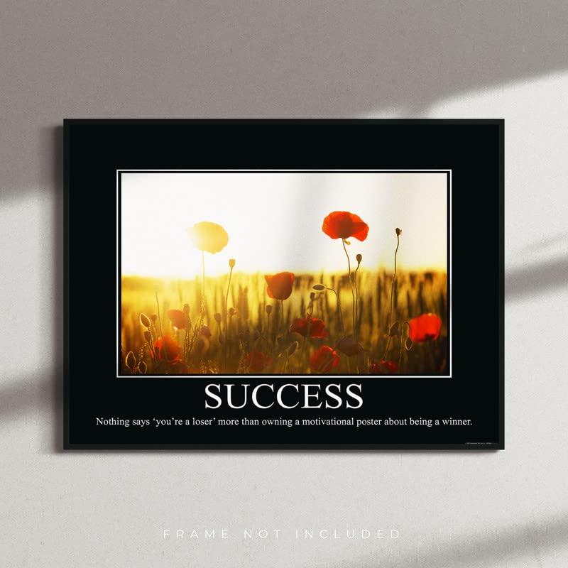 Success Demotivational Poster Ironic Snarky Funny Sarcastic Office Wall Decor Art Print 11X14 Inches Unframed