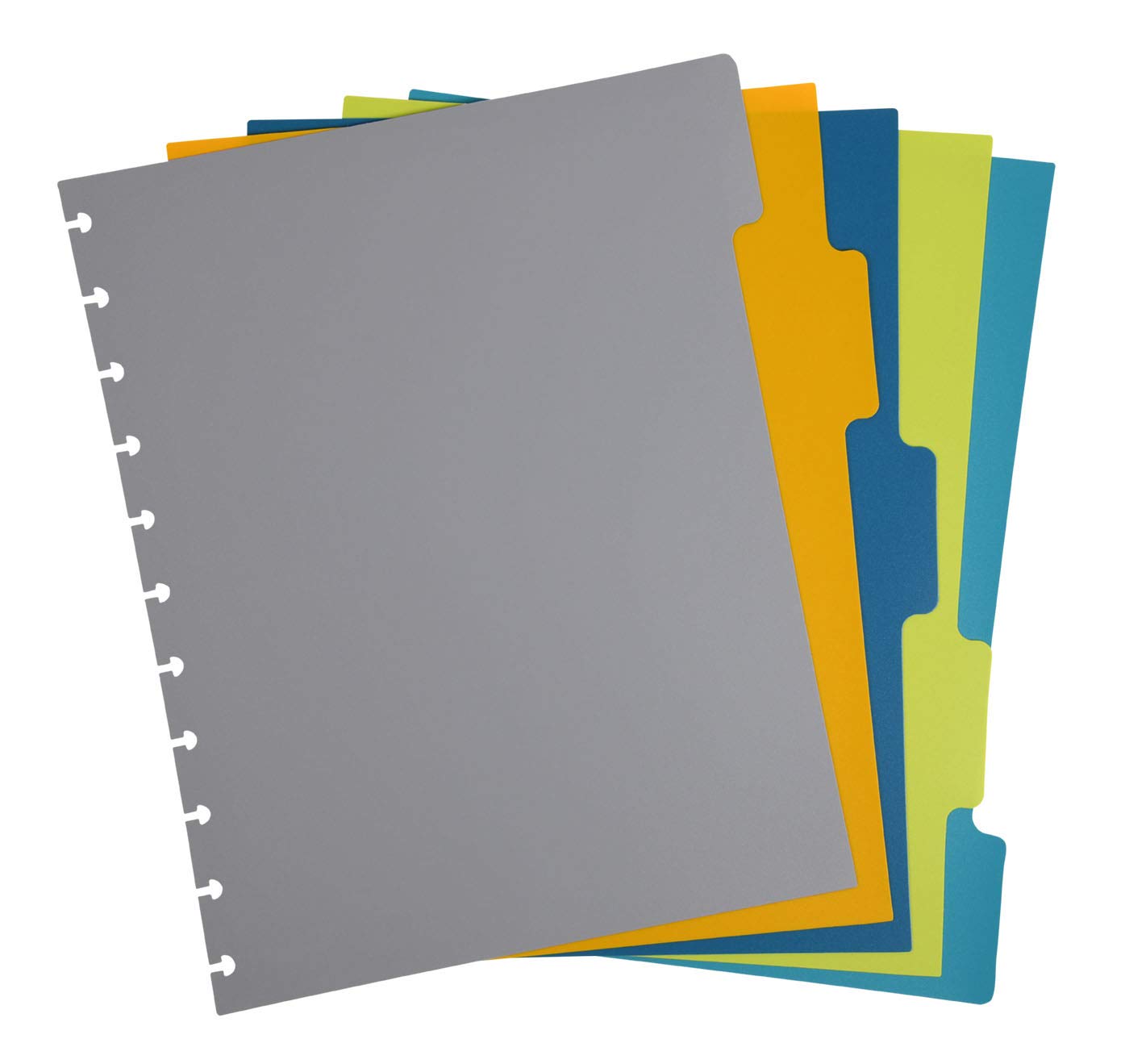 Talia Discbound Notebooks, Planner, Customizable, (Sage Green, Letter (85In X 11In))