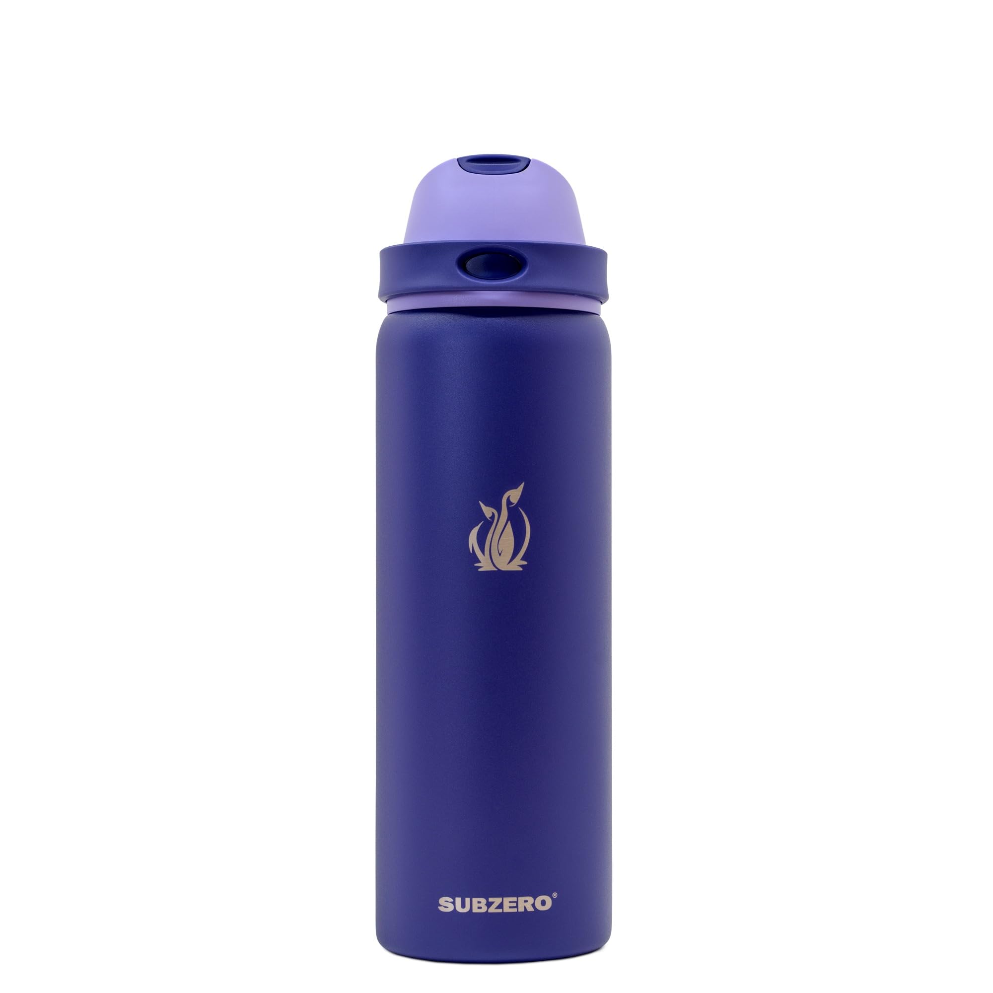 SUBZERO DUO 32 Ounce Water Bottle With Straw, Imperial, Triple Layer Vacuum Insulated Stainless Steel, Leak Proof, Dishwasher Sa