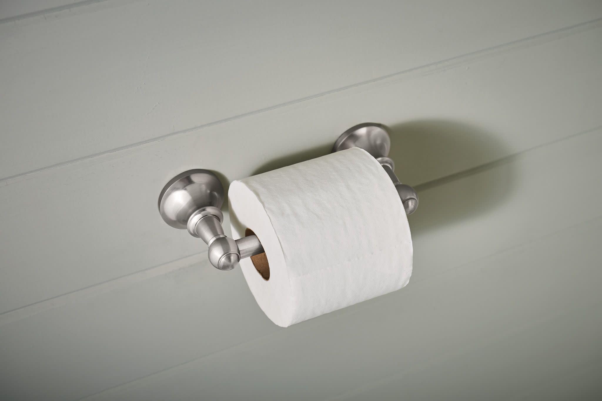 Moen DN4408BN Vale Double Post Pivoting Toilet Paper Holder  Brushed Nickel