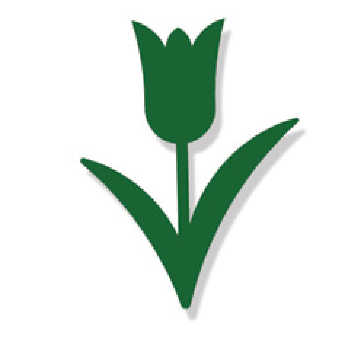Tulip Magnet Green FINAL SALE - Non-returnable