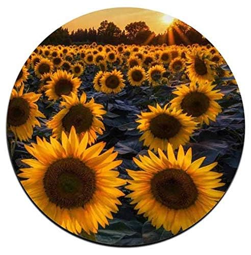 Sunflower Round Coaster Set - Made Of Recycled Rubber - Set Of 4