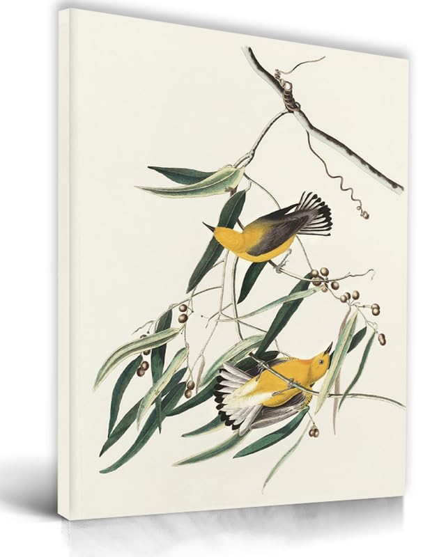 Upwoigh Bathroom Wall Art Decor, Yellow Bird Wall Art-Hummingbird Pictures For Wall, Waterproof Wood Framed Canvas Wall Art Anim