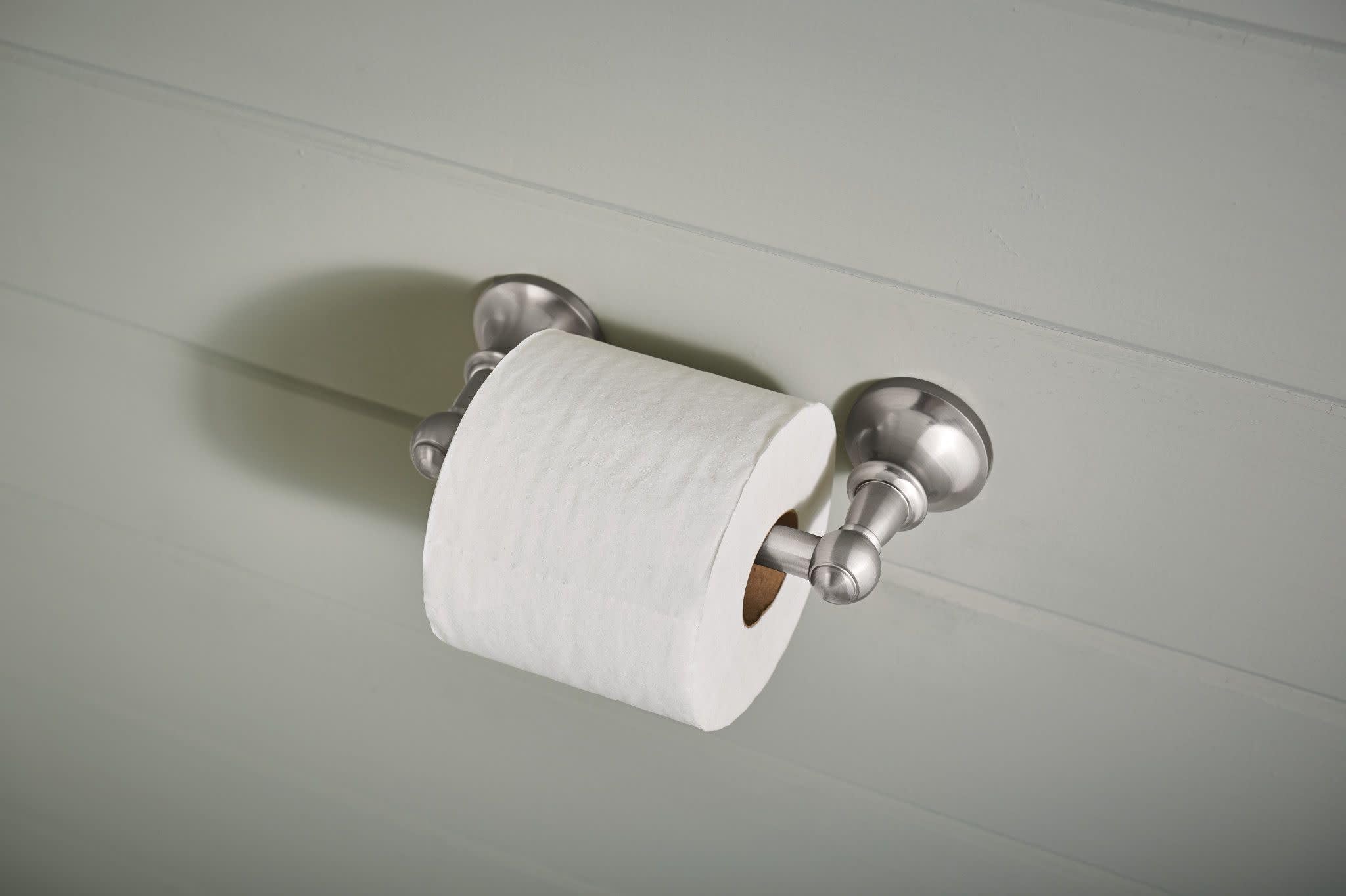 Moen DN4408BN Vale Double Post Pivoting Toilet Paper Holder  Brushed Nickel