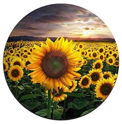 Sunflower Round Coaster Set - Made Of Recycled Rubber - Set Of 4