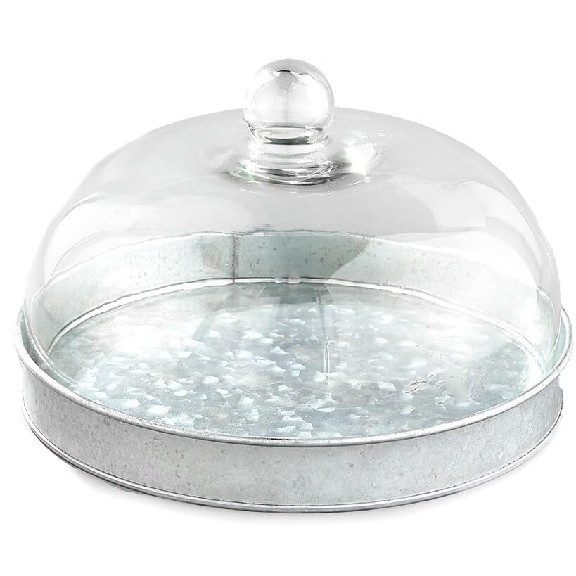 The Lakeside Collection Glass Domed Serving Plate for Confectionery and Baked Goods - Galvanized