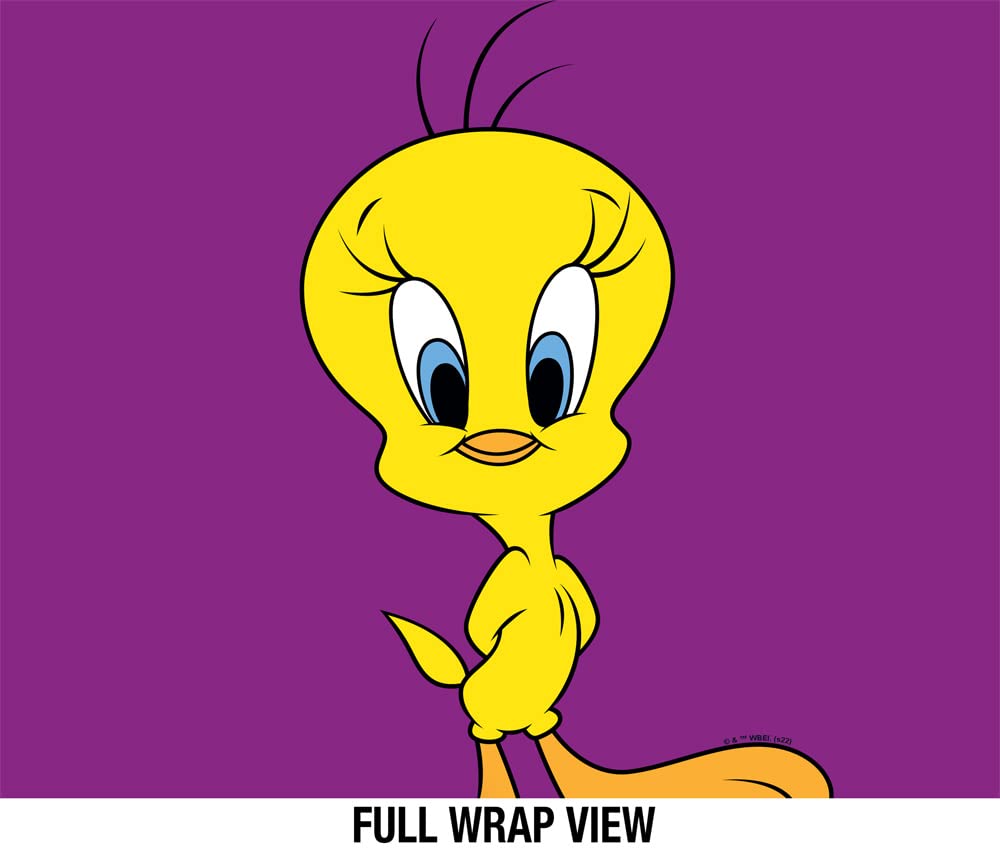 Looney Tunes Official Tweety Bird Pose 24 Oz Insulated Canteen Water Bottle, Leak Resistant, Vacuum Insulated Stainless Steel Wi