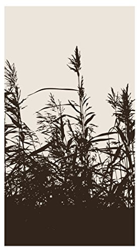 Gn 12/16Ct 3P Brbon Trl Grain