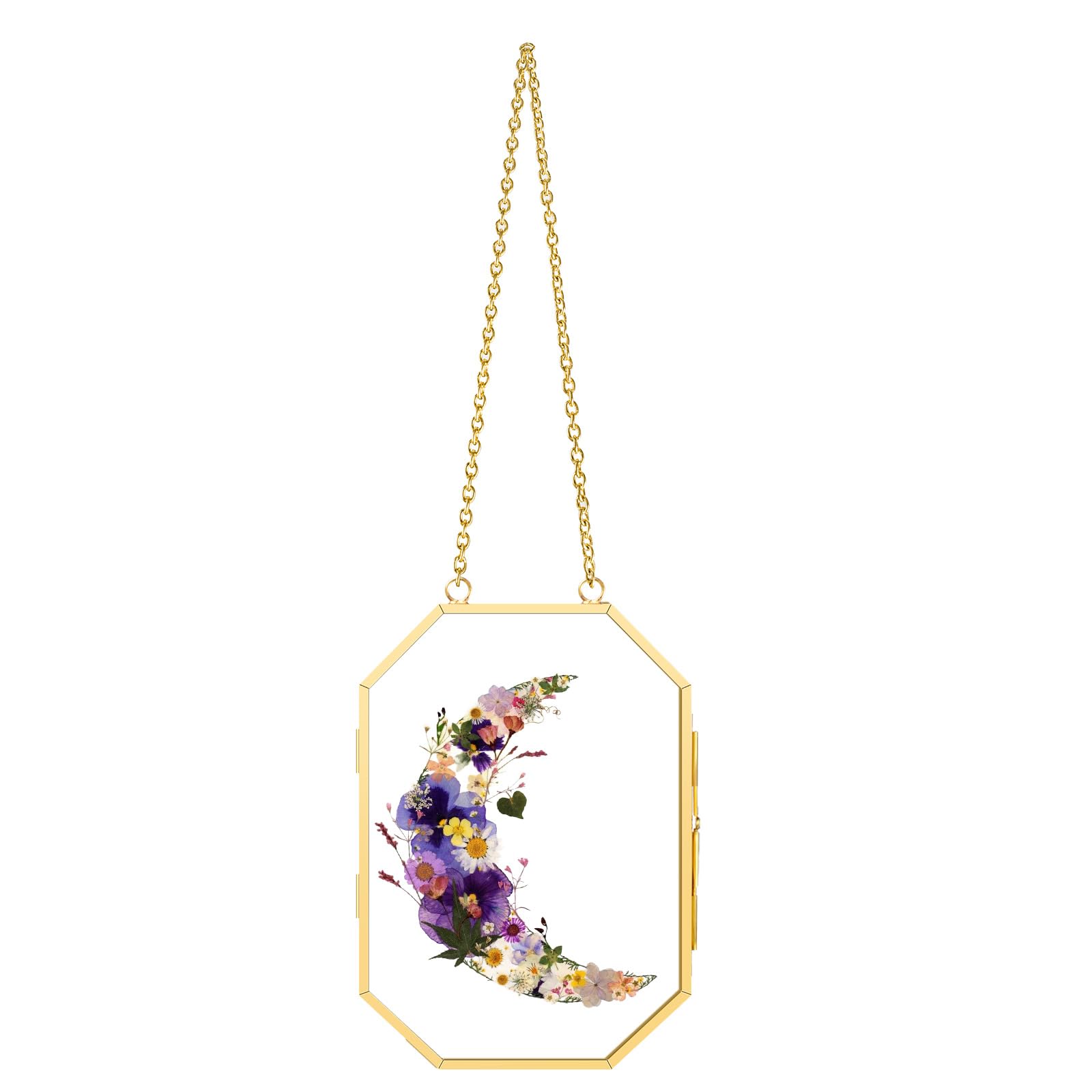 Pressed Flower Floating Frame with Tweezers,5.6x6inch, Gold Glass Hanging Brass Photo Frame with Chain, Double Clear Glass Vinta