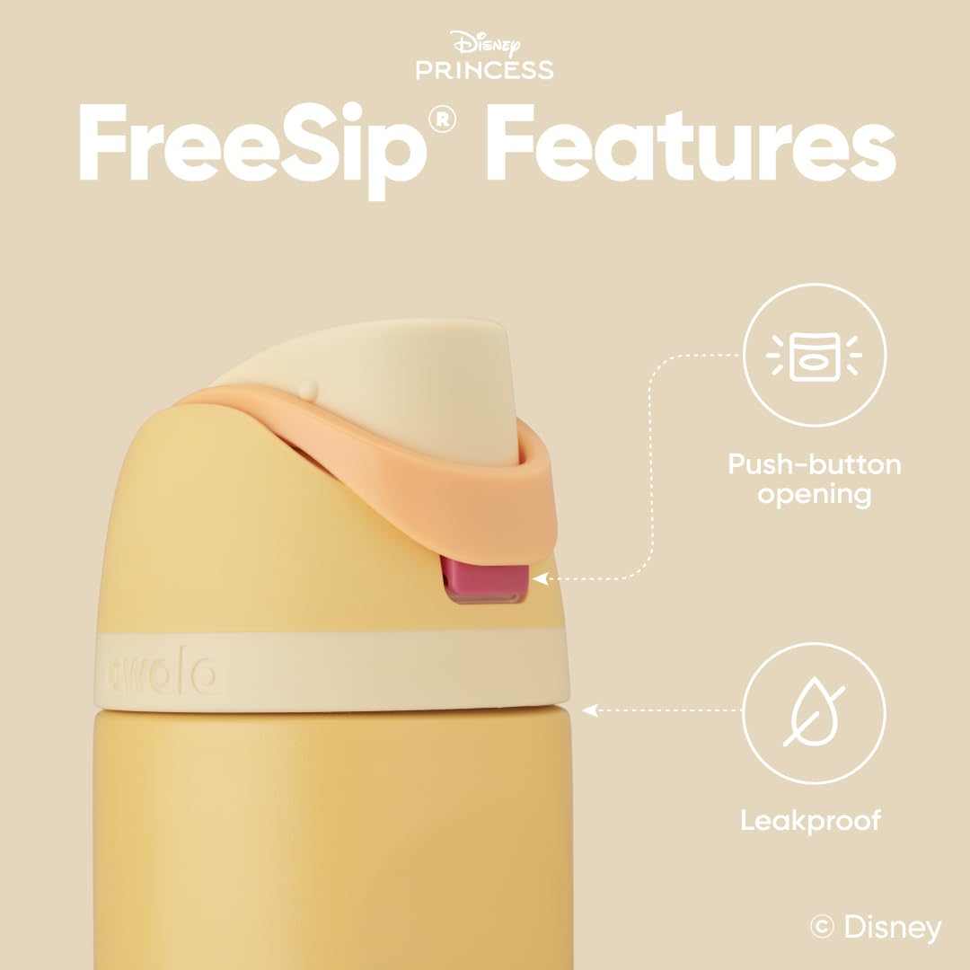Owala Disney Princess FreeSip Insulated Stainless Steel Water Bottle with Straw for Sports and Travel, BPA-Free Sports Water Bot