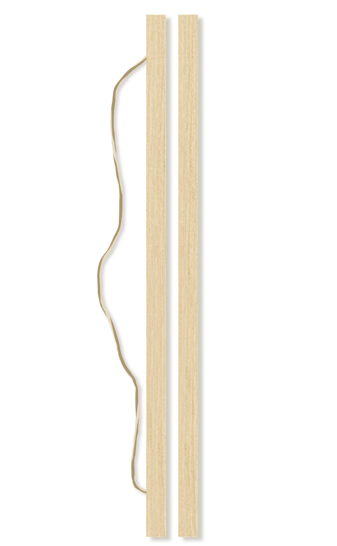 Trends International Lady Gaga - Photo Bars Wall Poster, 22.375'' X 34'', Premium Print And Beechwood Hanger Bundle