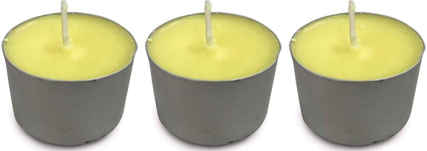 JT Eaton ZendoZones 18P-PP Patio Pineapple All-Natural Citronella Candle Burner