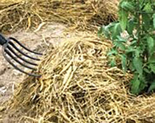 Ez-Straw Just Straw Clean Processed Straw - Multi Purpose - Small Bale (1 Cubic Foot)