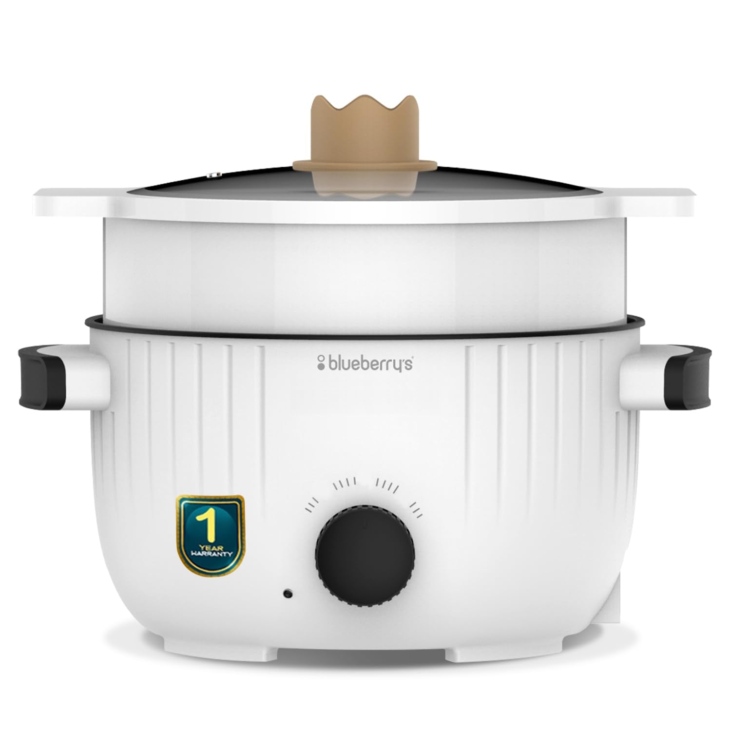 BlueberryS Procook 3 Liter 1000-Watts Multi Cook Electric Kettle, Dual Power Modes, Quick Boiling, Overheat Protection, Boil-Dr