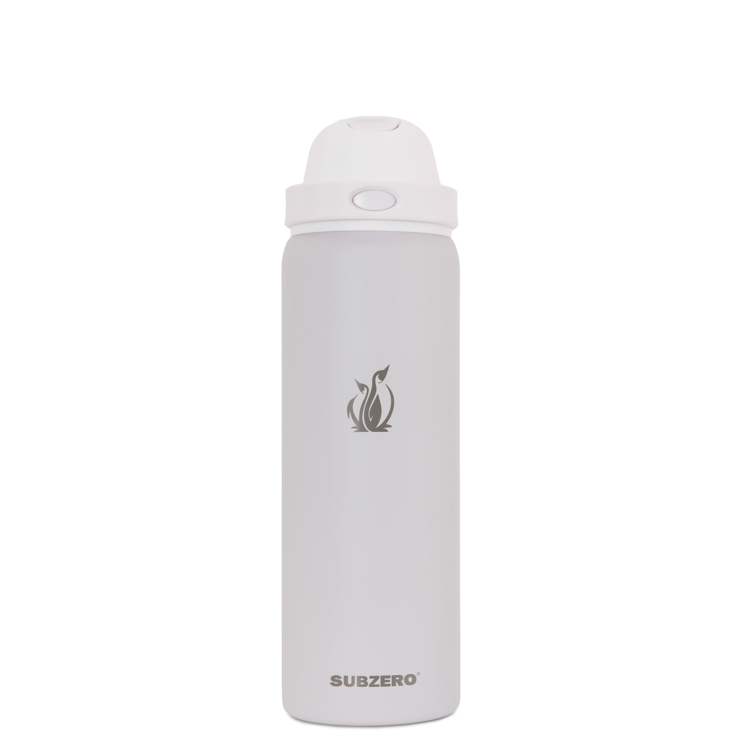 SUBZERO DUO 32 Ounce Water Bottle With Straw, Chai, Triple Layer Vacuum Insulated Stainless Steel, Leak Proof, Dishwasher Safe, 