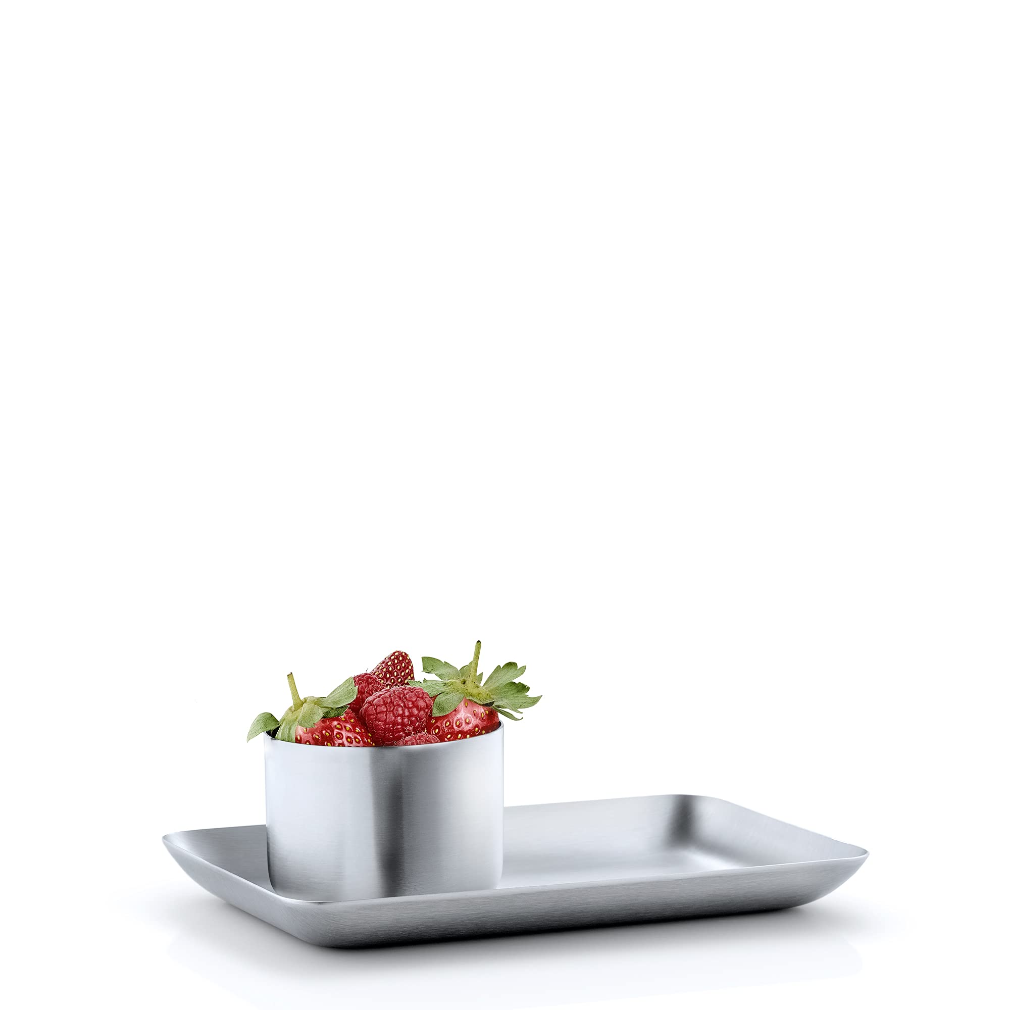 Blomus Basic Stainless Steel Tray 4'' X 7''