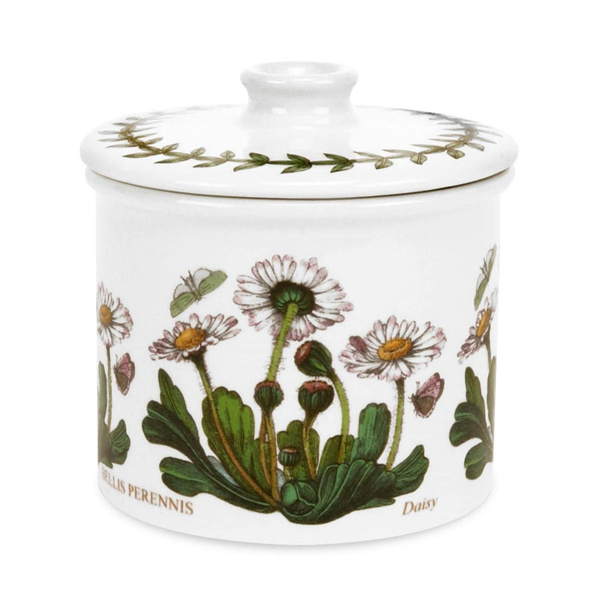 Portmeirion Botanic Garden 7Oz Drum-Shaped Covered Sugar Bowl | Daisy Motif | Fine Earthenware | Chip-Resistant Glaze | Dishwash