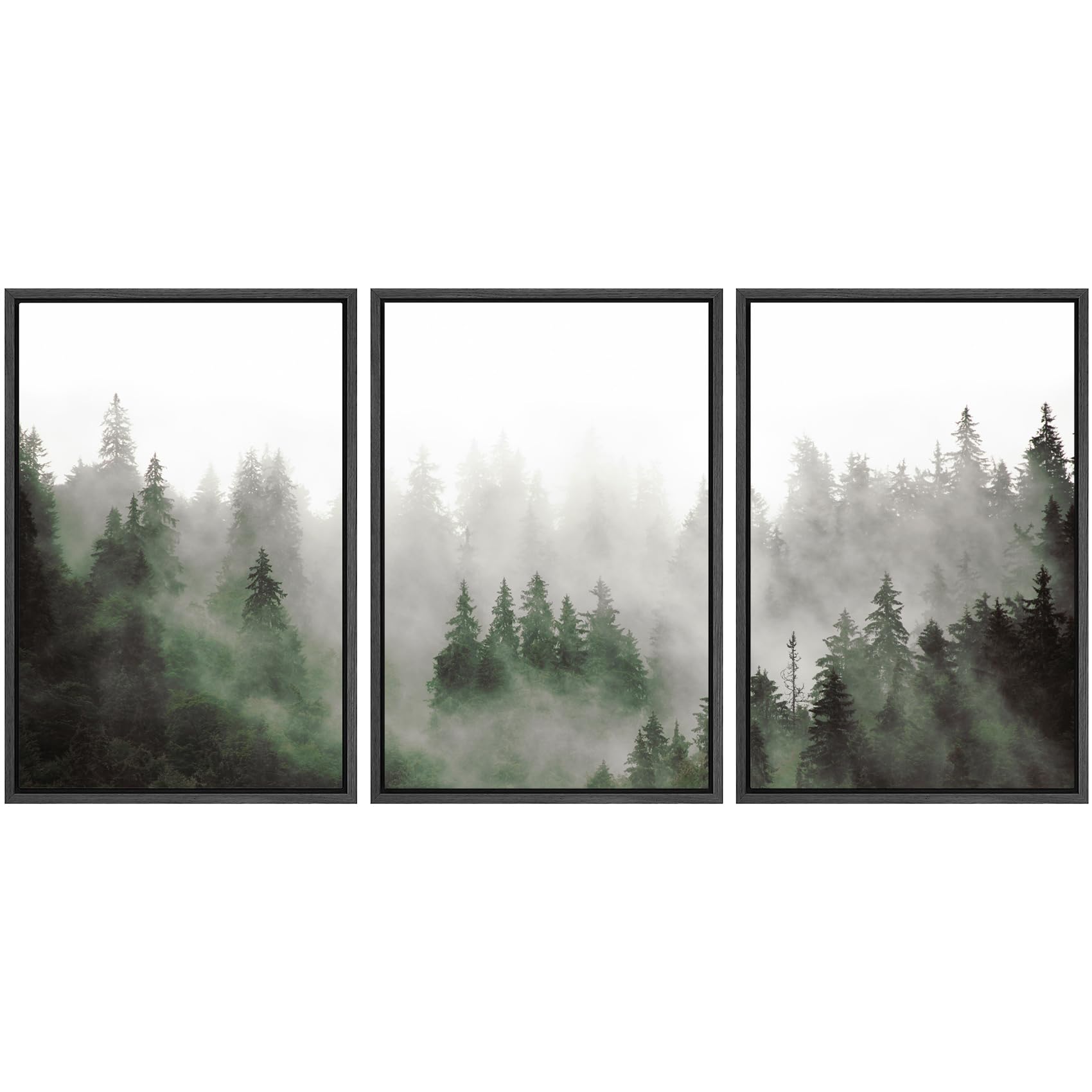 SIGNWIN Framed Canvas Print Wall Art Woodland Nursery Decor Set Fog & Mist Over Green Pine Tree Forest Nature Wilderness Modern Art Chic Landscape for Living Room  Bedroom  Office - 16''x24''x3 Black
