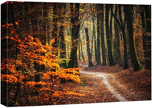 Wall26 Canvas Print Wall Art Autumn Fall Orange Leaf Forest Tree Trail Nature Wilderness Photography Realism Earth Scenery Rusti